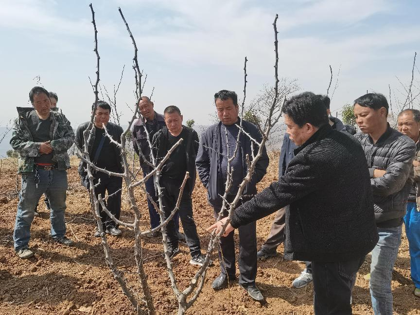 扶貧工作動態（第132期）