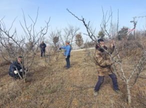 鄉村振興工作動態(第155期)