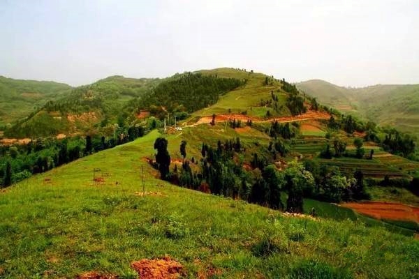 鄉村振興工作動態 (第142期)