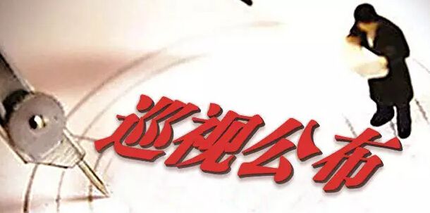 中共西安工業資產經營公司黨委 關于巡視整改情況的通報