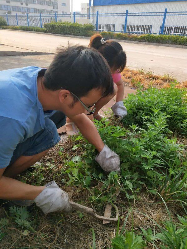 1535597995907454.jpg 1535597995907454.jpg