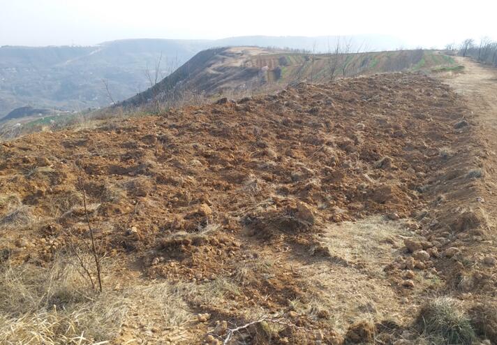 1554695676137353.jpg 1554695676137353.jpg