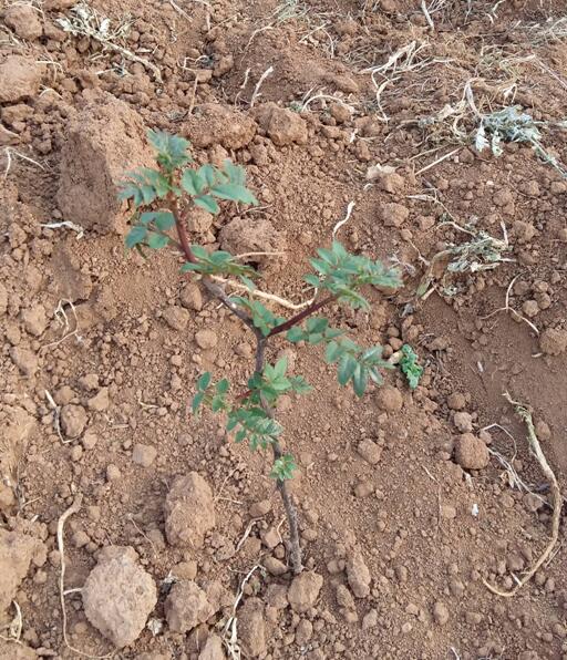 1555296626328461.jpg 1555296626328461.jpg