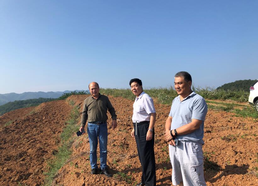 1569567521459020.jpg 1569567521459020.jpg